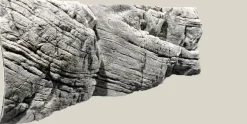 Tanganyika Baggrund Hvid Kalksten 150 x 50 cm