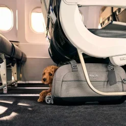 TAVO Dupree II Merle - Airline Carry-On og Autostol til Hunde og Katte