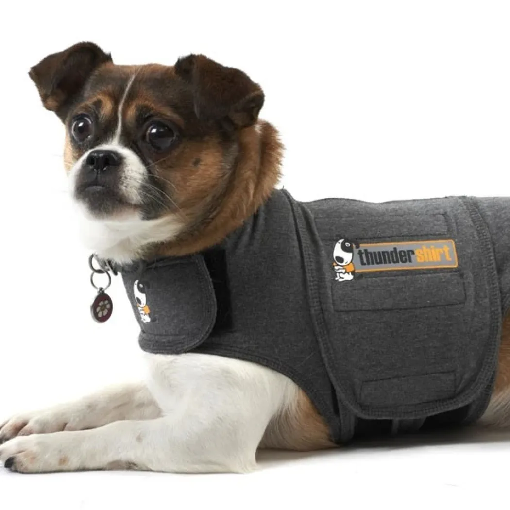 Thundershirt XL