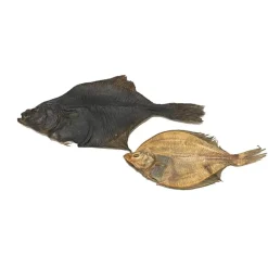 Treattime Fladfisk - Natursnack til hunde