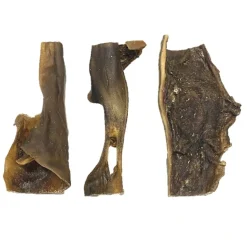 Treattime Kamelhovedhud 15 cm - Naturligt tyggeben til hunde