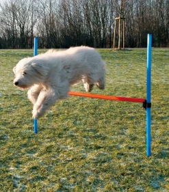 Trixie Agility Hurdle - springtræning til hunde