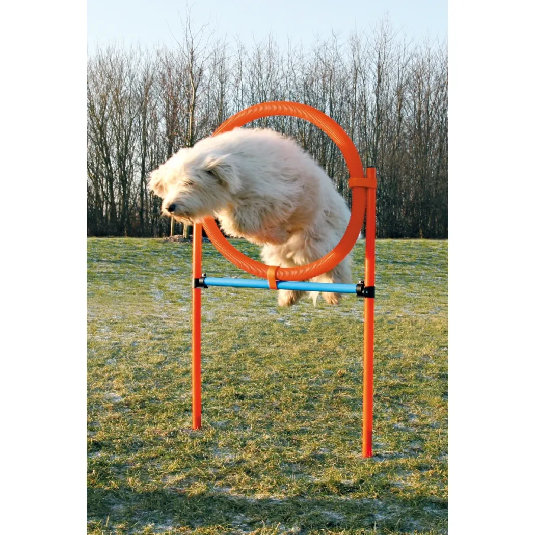 Trixie Agility Ring - sjov træning til hunde