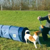 Trixie Agility Tunnel - sjov træning til hunde
