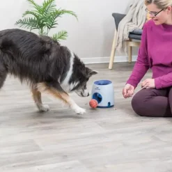 Trixie Hunde aktivitets spil Ball & Treat - sjovt spil til hunde