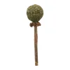 Trixie Matatabi Lolly