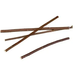 Trixie Pilekviste grene 18 cm 20 stk