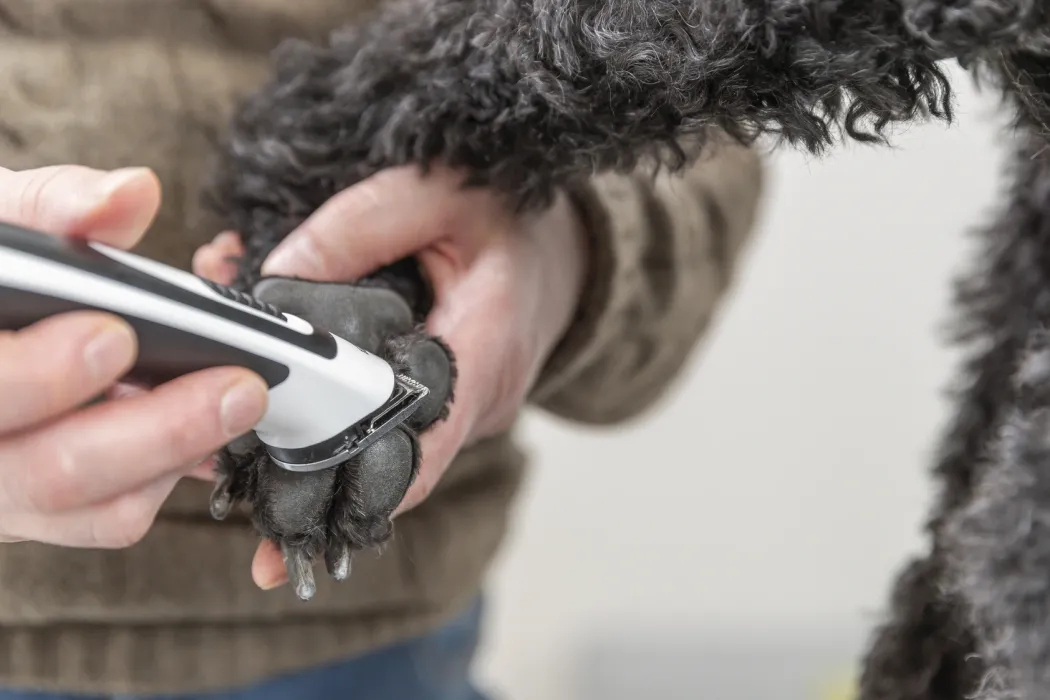 Trixie Trådløs Potetrimmer SLIM TR500