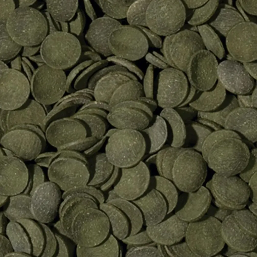 Tropical Green Algae Wafers 250 ml