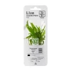 Tropica PCS Pot Microsorum pteropus Narrow x 3