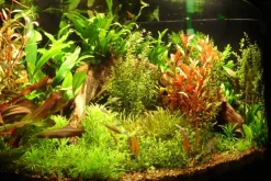 Tropica Ugens sortimentskasse 160 stk
