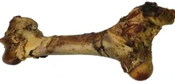 Tørrede okseben Gigant XL 40-50 cm - ekstra stort naturtyg