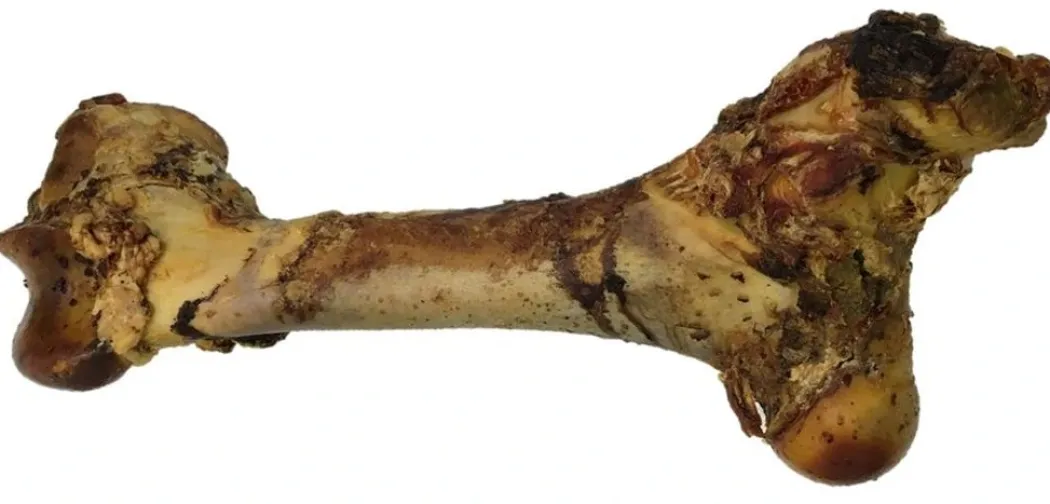 Tørrede okseben Gigant XL 40-50 cm - ekstra stort naturtyg