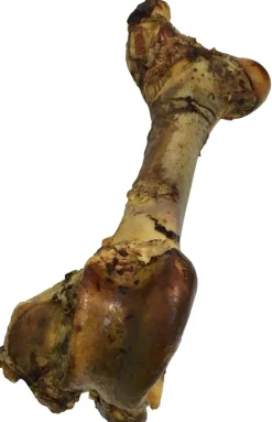 Tørrede okseben Gigant XL 40-50 cm - ekstra stort naturtyg