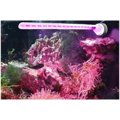 Tunze LED eco chic Refugium 8831 - Effektiv LED til refugium og sump