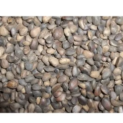 Tyroler nødder 25 kg
