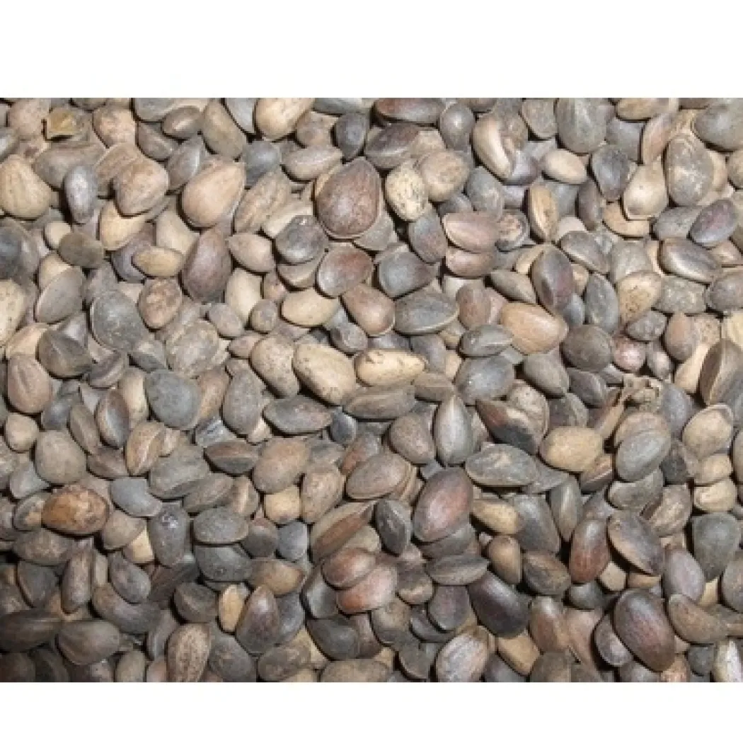 Tyroler nødder 25 kg