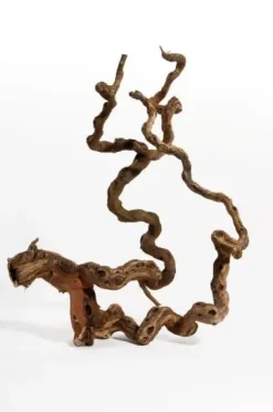 Vinrankerod 40-70 cm (Winewood)