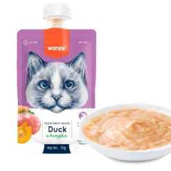 Wanpy kat Meat Paste med and og græskar 90 g
