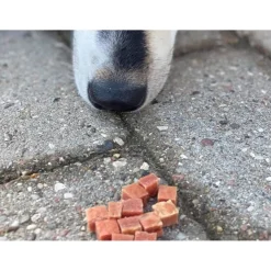 Woolf Hundesnack And Chunkies